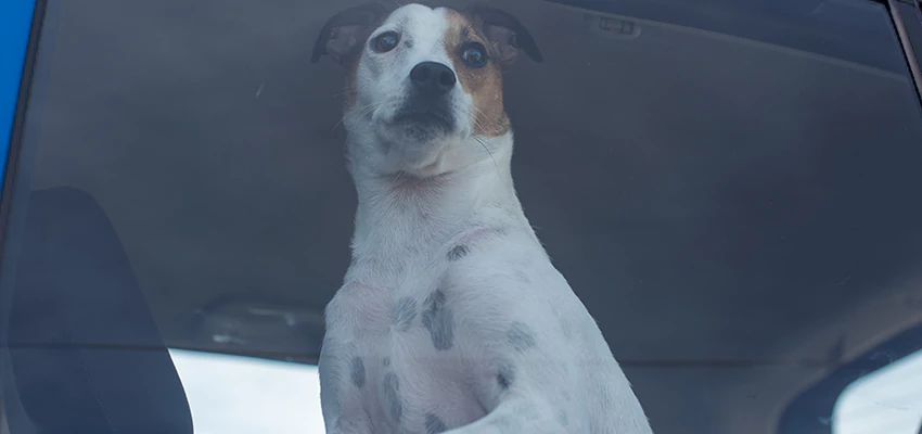 Car Lockout Solutions in East Rancho Dominguez, California